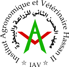 Logo_iav